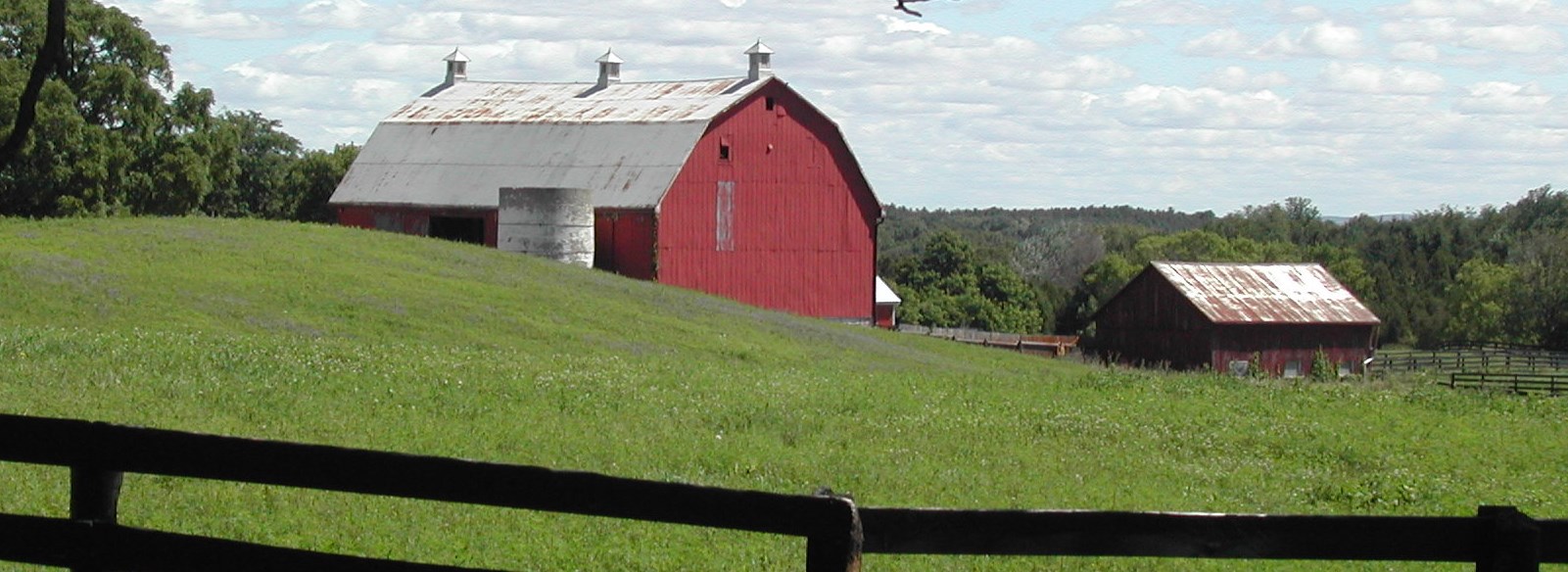 Farm in the Caledon countryside